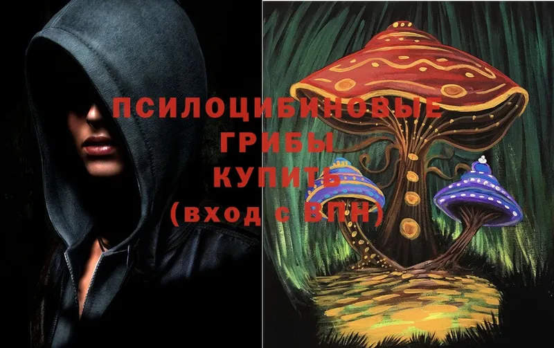 Галлюциногенные грибы Psilocybe  дарнет шоп  Петушки 